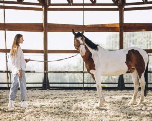 Jovem mulher segura longa rédea diante de seu cavalo em picadeiro