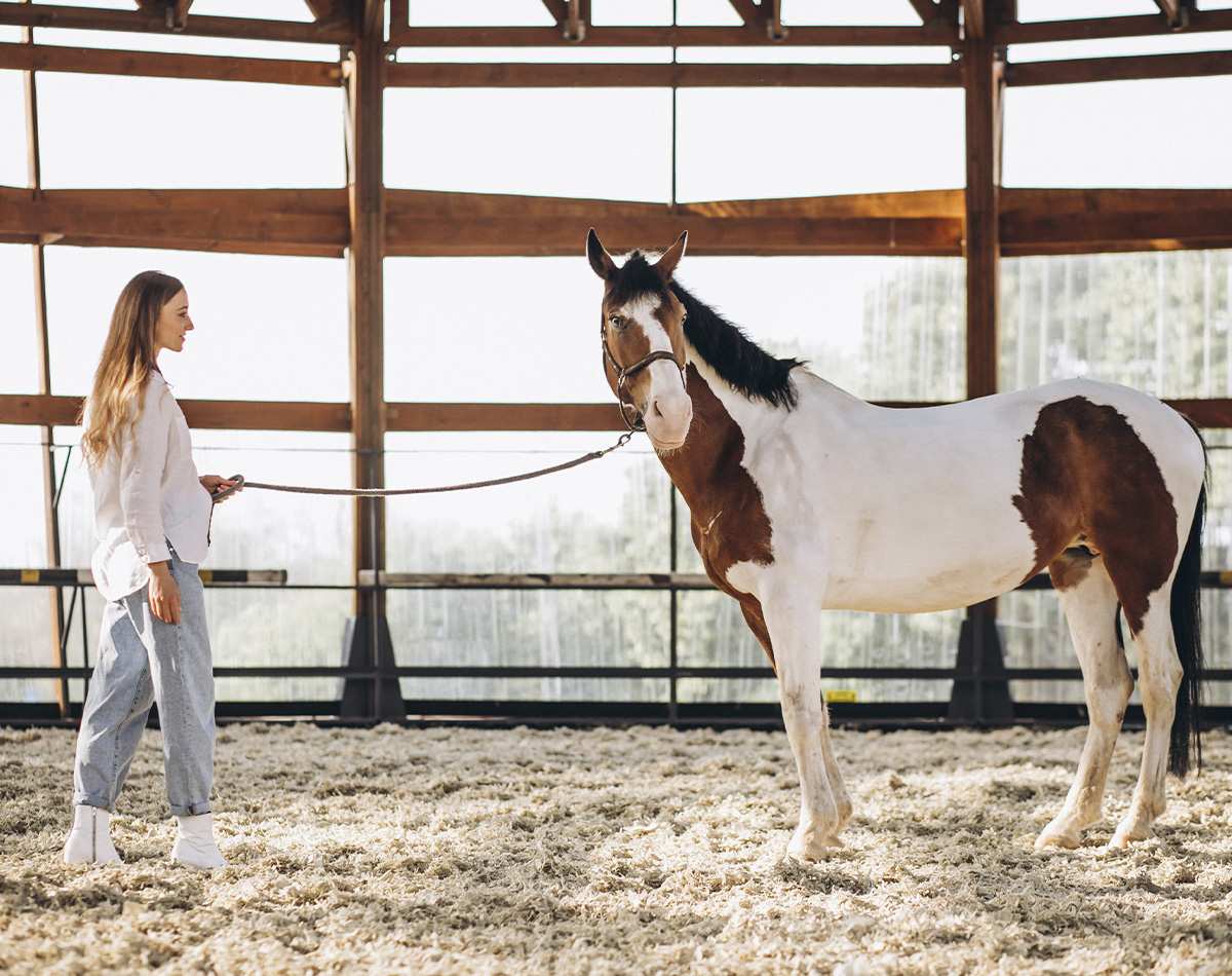 Jovem mulher segura longa rédea diante de seu cavalo em picadeiro