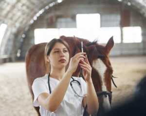 Médica Veterinária com um estetoscópio em torno do pescoço, segurando uma seringa suspensa, diante de um cavalo marrom e branco.