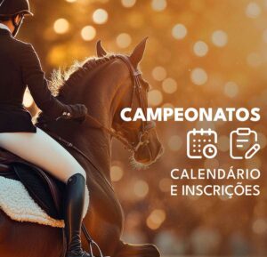 Pessoa montada em cavalo na lateral diante de um fundo desfocado de luzes